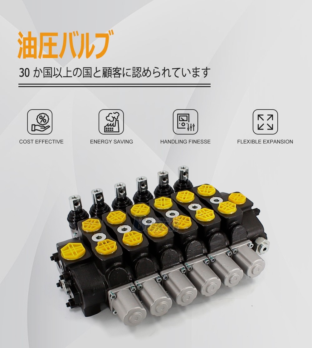 Industrial Grade SD8 Manual Sectional Hydraulic Valve