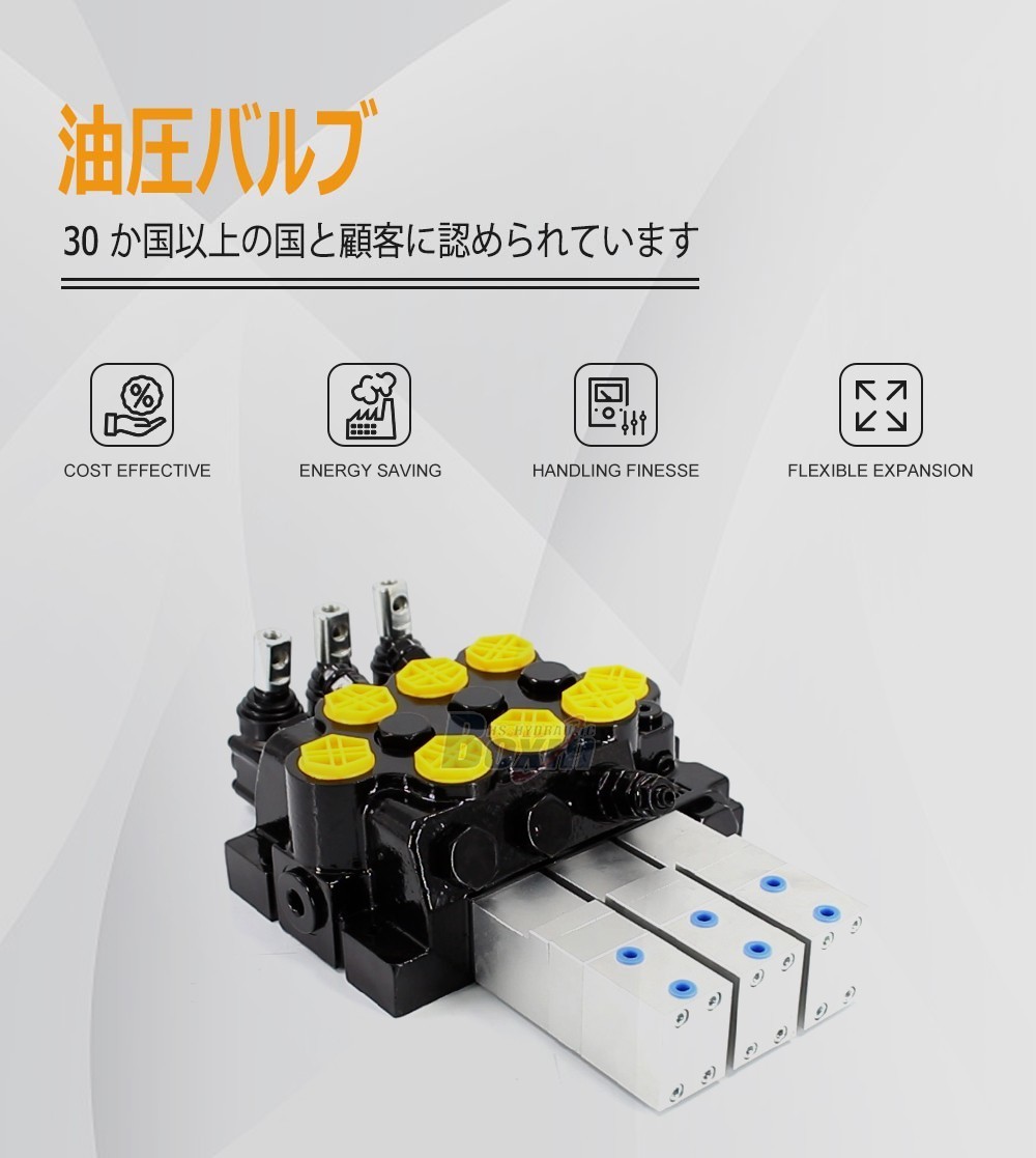 Leading Manufacturer of WZF-125 Monoblock Directional Valves