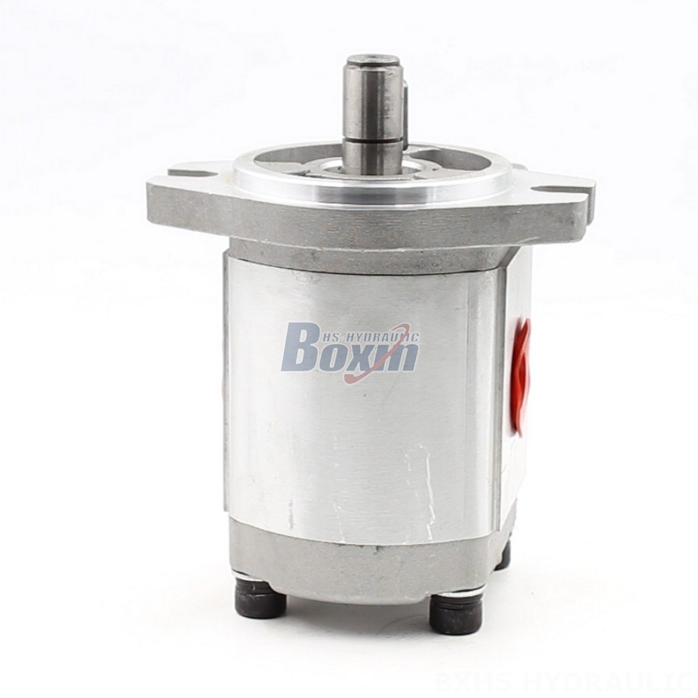 CBHS-FL304 4 cc/rev Hydraulic Gear Pump: OEM & ODM Services Available main image