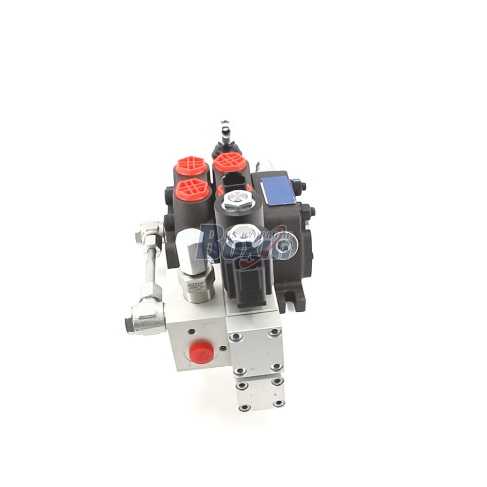 Professional OEM/ODM and Private Label Services for DCV60 Electro-hydraulic Valves cover photo