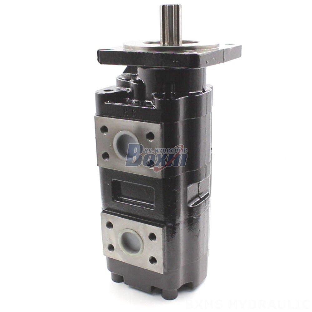 Partnership Opportunities: JHP2080-2080 Hydraulic Gear Pump Distribution main image