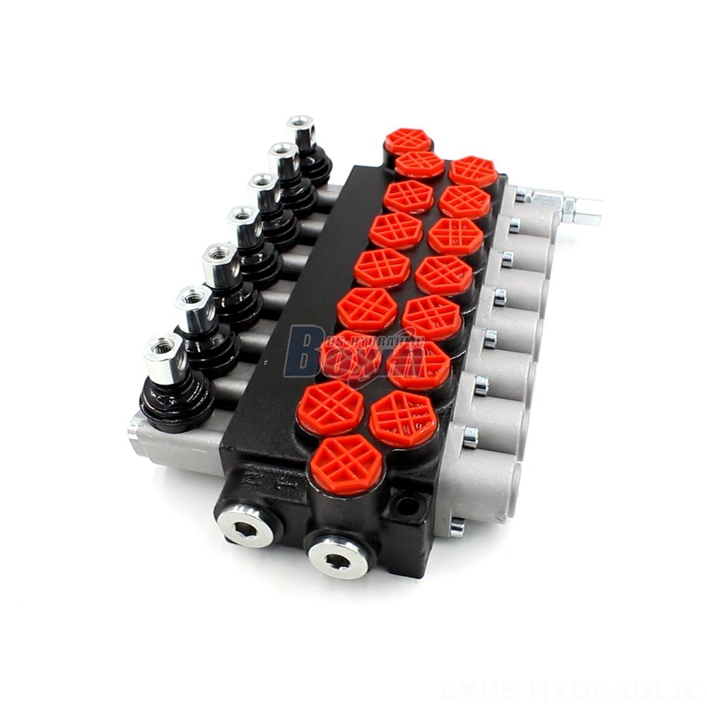 Monoblock Directional Valves: Superior Performance and Durability main image