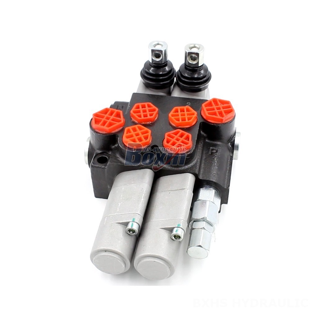 P40-G12-G38-2QTW Manual Monoblock Directional Valve | Manufacturer & Supplier cover photo