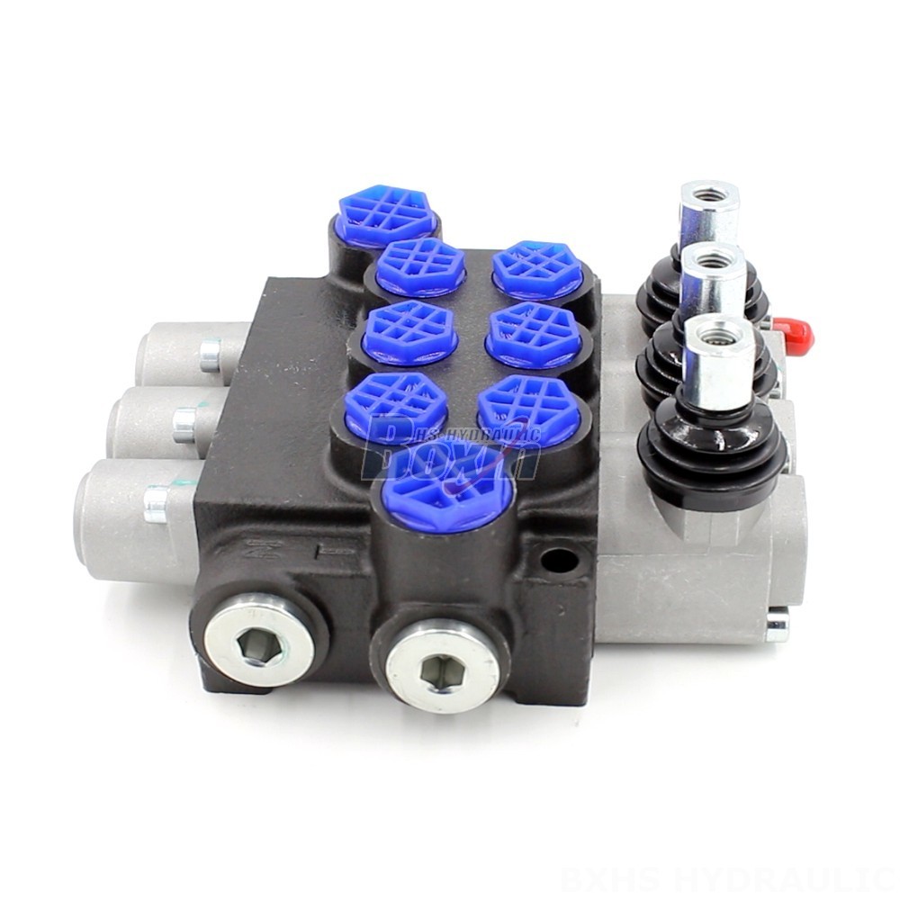 Monoblock Directional Valve P40-G12-G38-OT: Wholesale & OEM cover photo