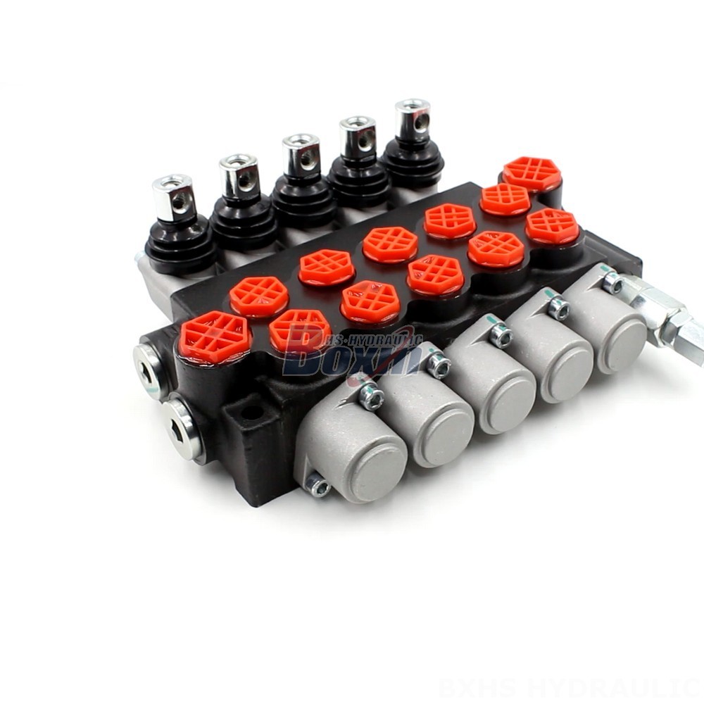 P40-G12-G38 Manual 5 Spool Monoblock Directional Valve | Wholesale & OEM cover photo