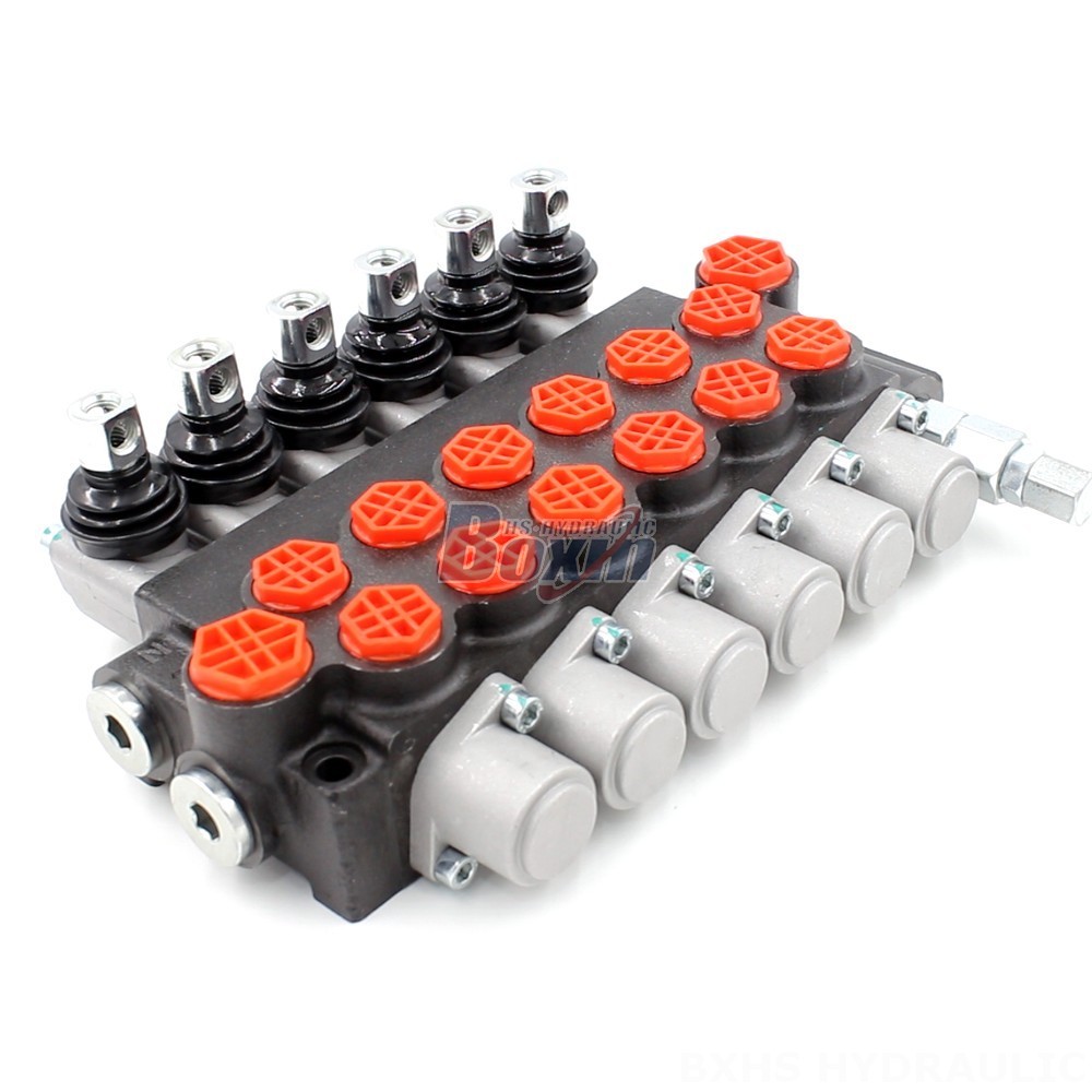 Private Label Hydraulic Valves | Enhance Your Brand Value with P40-G12-G38 Valves main image