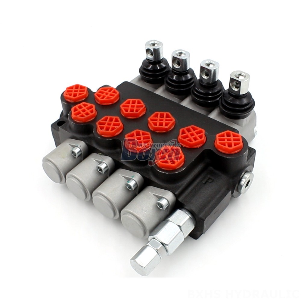 P40-G38 Hydraulic Valve: Private Label, OEM & Custom Manufacturing Services main image