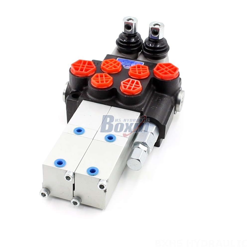 P40 Valve main image
