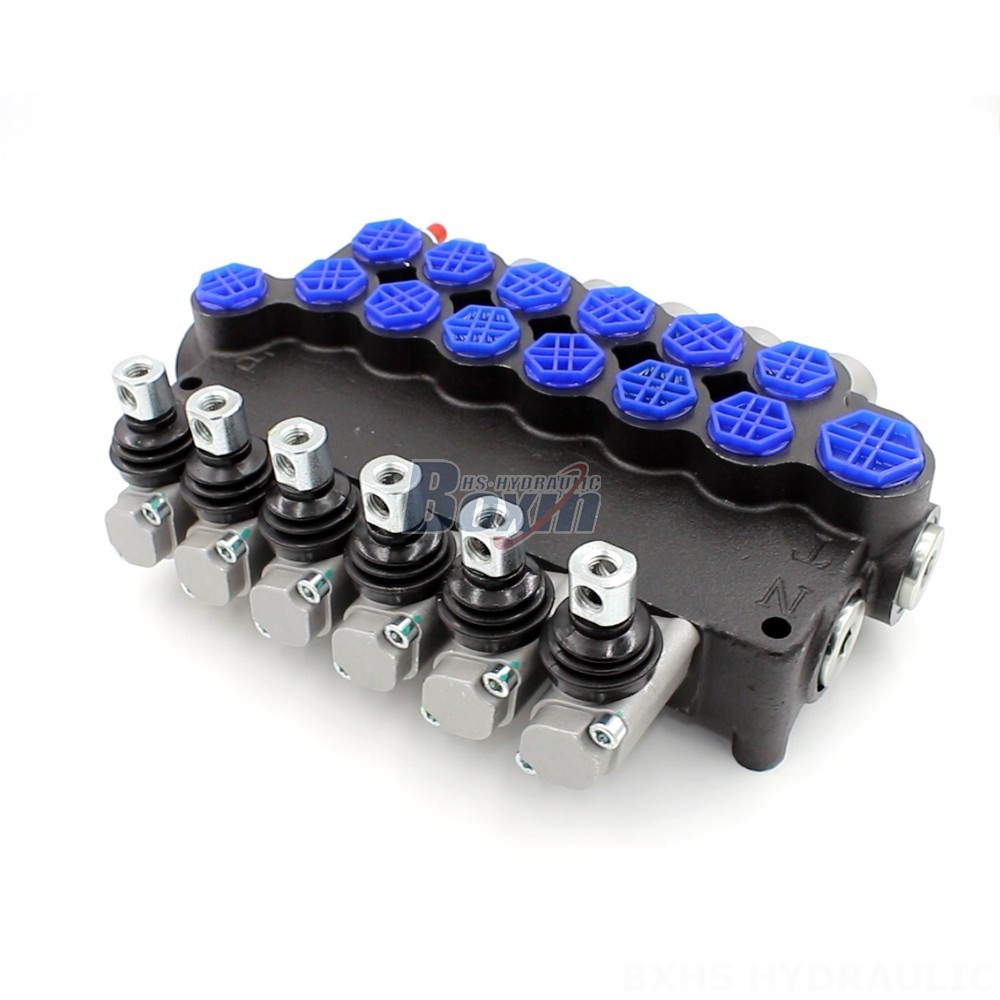 Manual Monoblock Directional Valve - P80-AQF-G Series | Wholesale & OEM main image