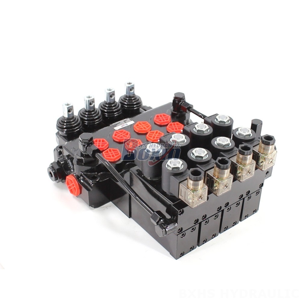 Factory Direct Supply: SD11-PG2 Electro-hydraulic Monoblock Valves cover photo